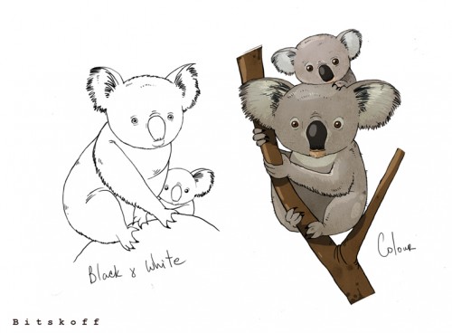 Baby Koala